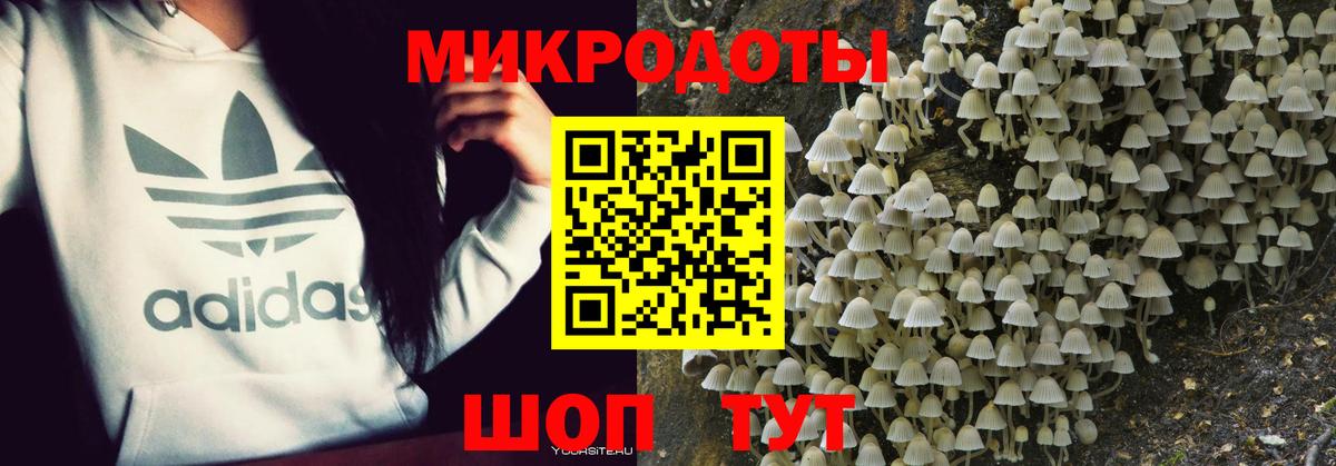 Псилоцибиновые грибы Psilocybe  купить закладку  Междуреченск  Галлюциногенные грибы ЛСД  Вход с VPN 